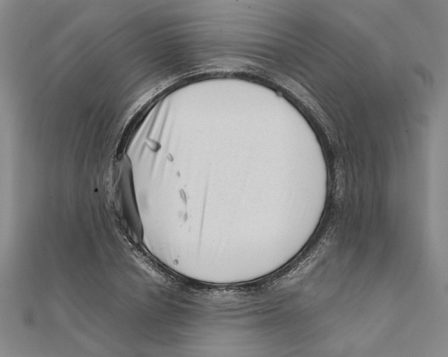 X0000111350834200908071131