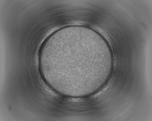 X0000111350835200908071131