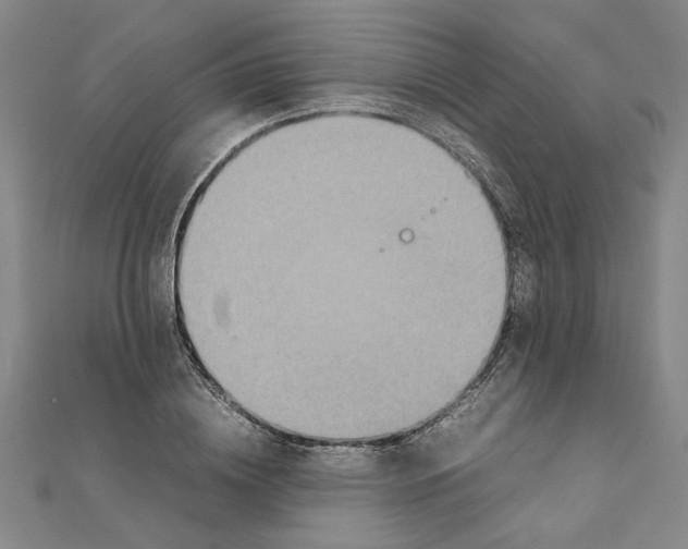 X0000111350836200908071131