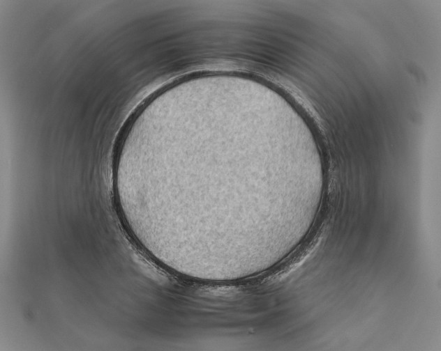 X0000111350837200908071131