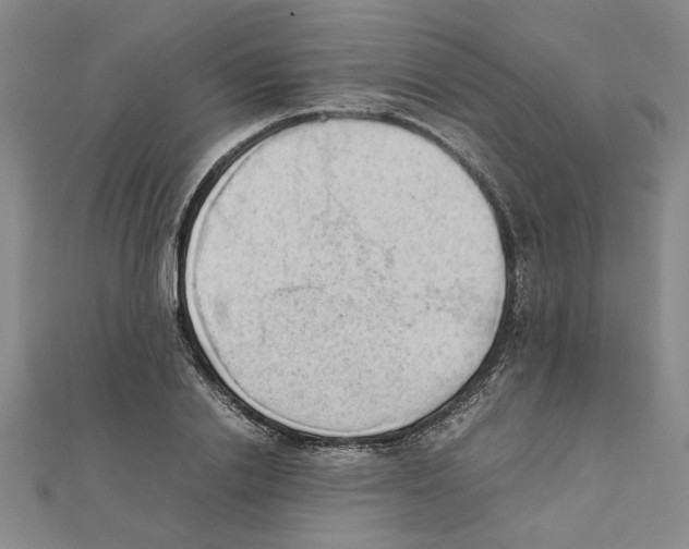 X0000111350838200908071131