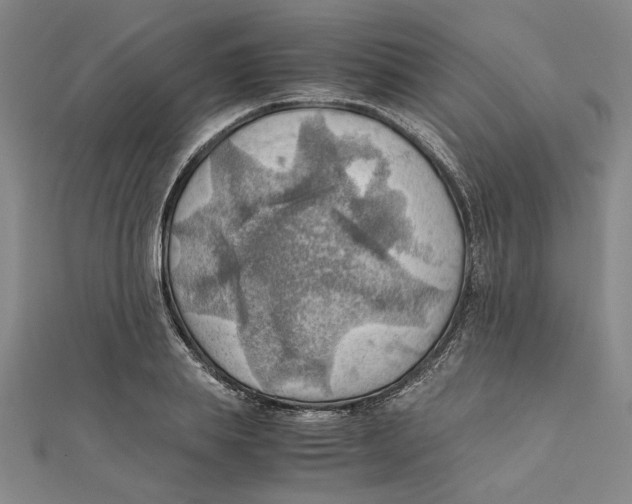 X0000111350839200908071131