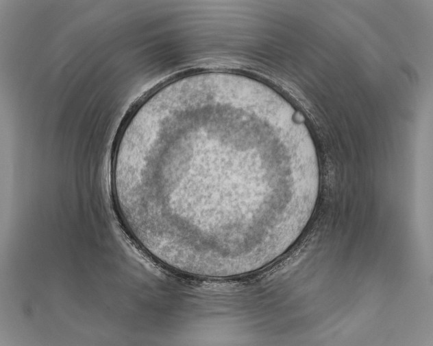 X0000111350840200908071131