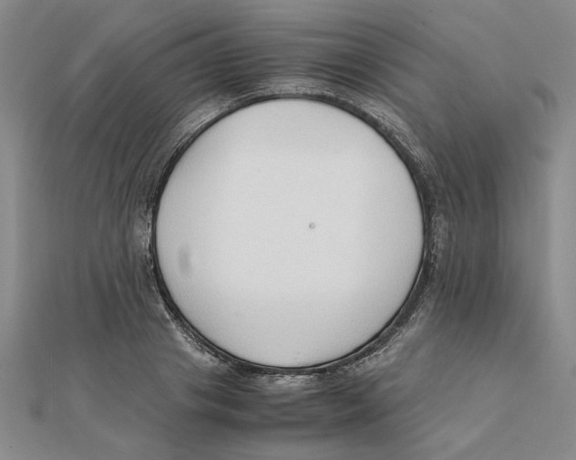 X0000111350841200908071131