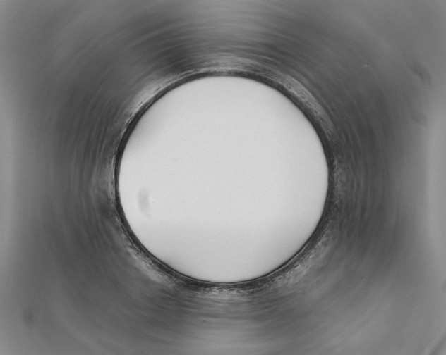 X0000111350842200908071131