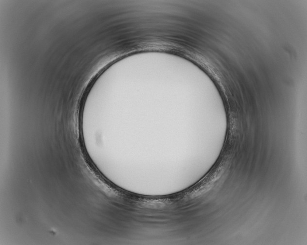 X0000111350843200908071131