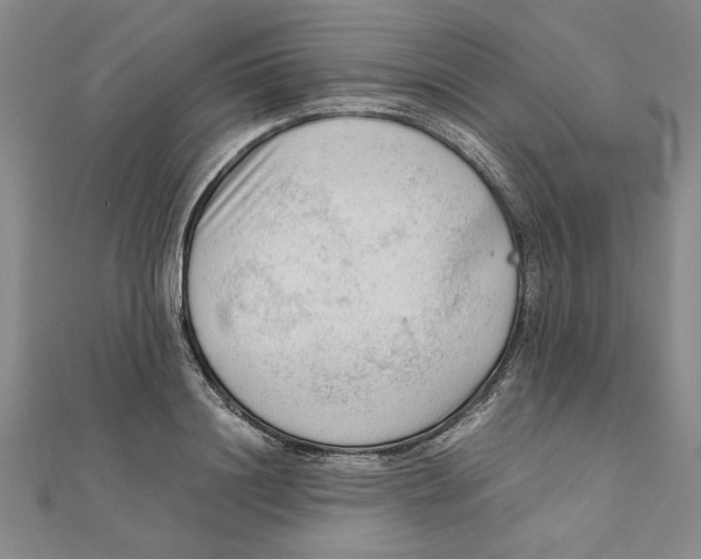 X0000111350844200908071131