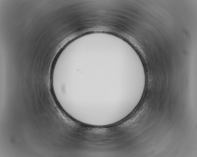 X0000111350845200908071131