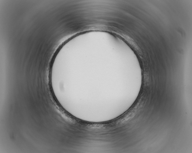 X0000111350846200908071131