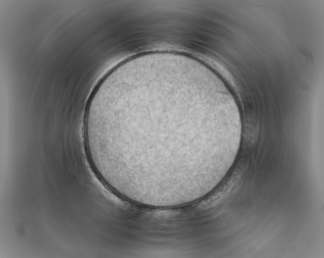 X0000111350847200908071131