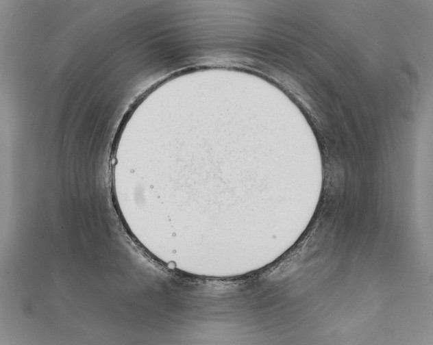 X0000111350848200908071131