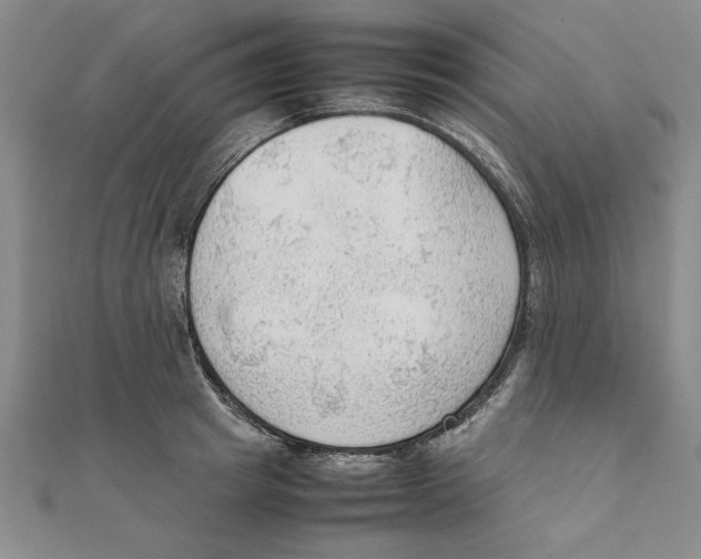 X0000111350849200908071131