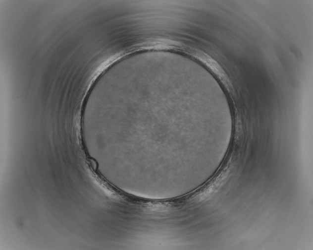 X0000111350850200908071131