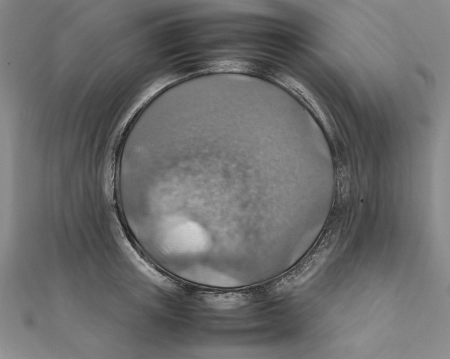 X0000111350851200908071131