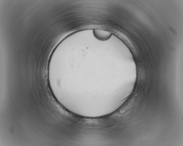X0000111350852200908071131