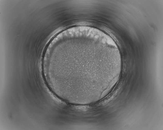X0000111350853200908071131