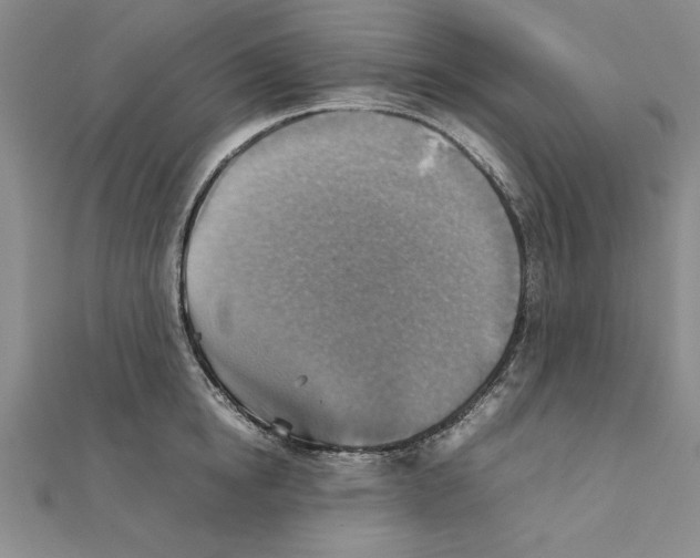 X0000111350854200908071131