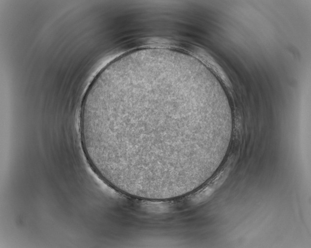 X0000111350855200908071131