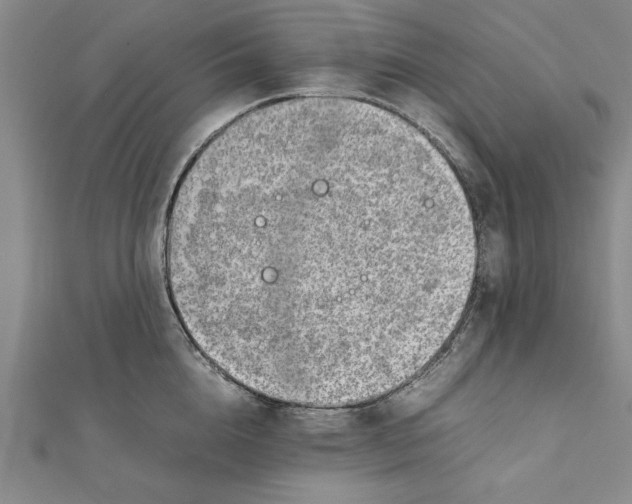 X0000111350856200908071131