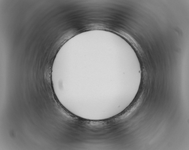 X0000111350857200908071131