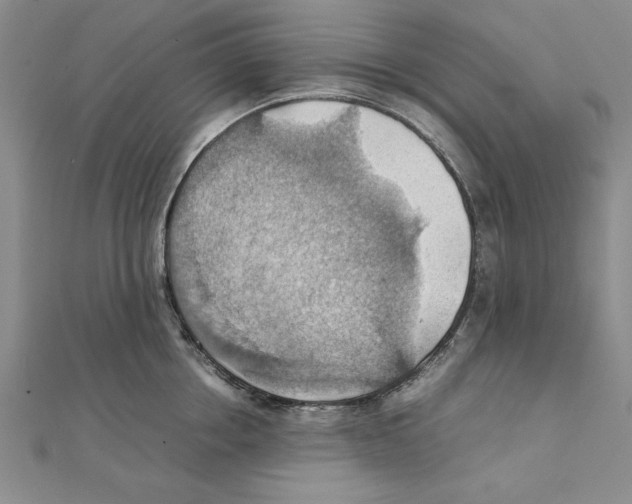 X0000111350858200908071131
