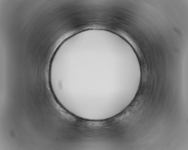 X0000111350861200908071131