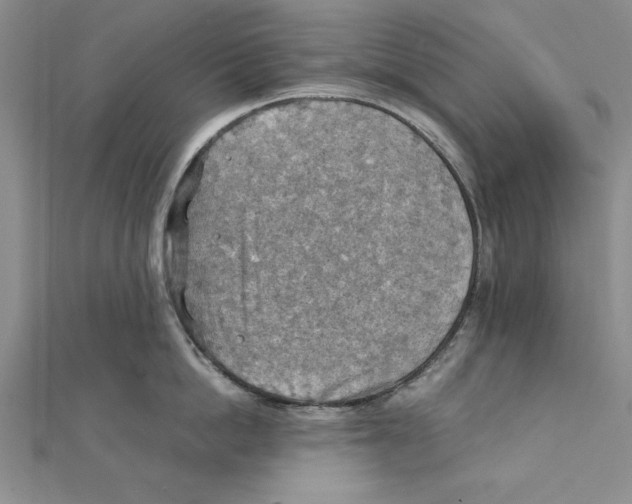 X0000111350862200908071131
