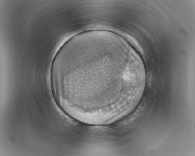 X0000111350863200908071131