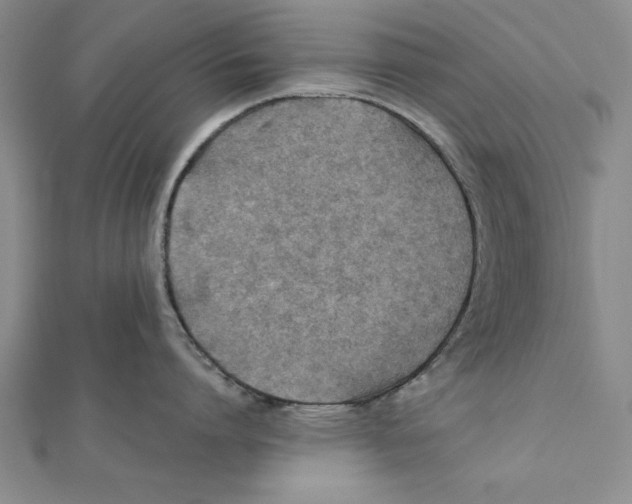 X0000111350864200908071131
