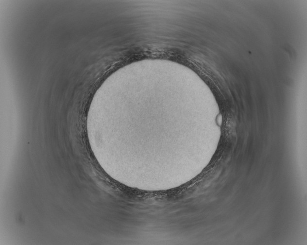 X0000111350865200908071131