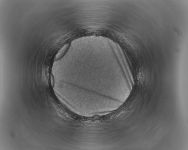 X0000111350868200908071131