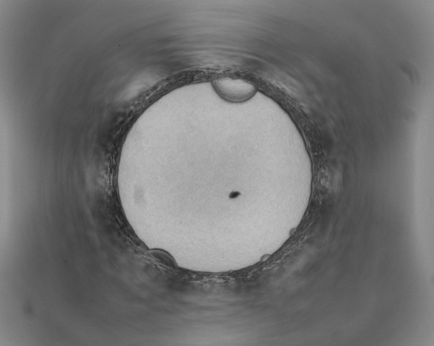 X0000111350869200908071131