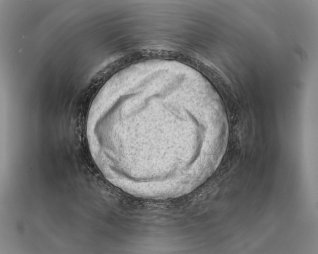 X0000111350870200908071131