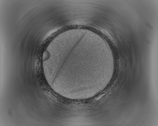 X0000111350872200908071131