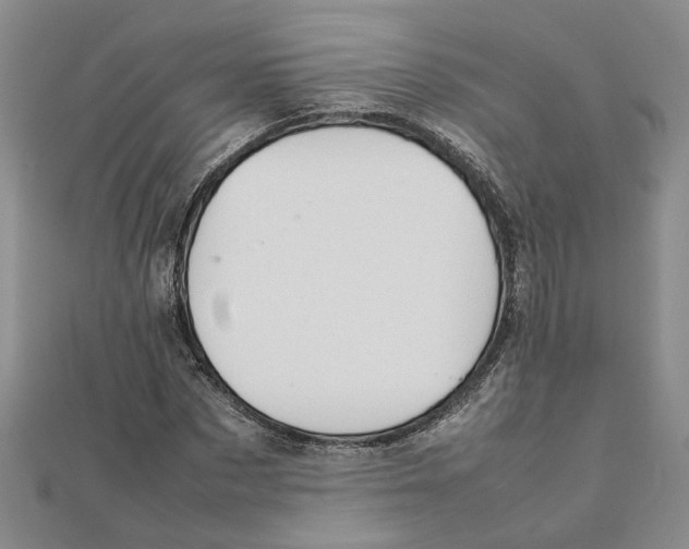 X0000111350873200908071131