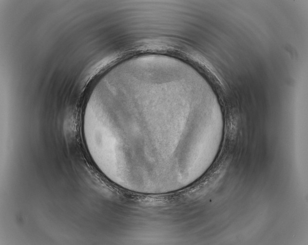 X0000111350874200908071131