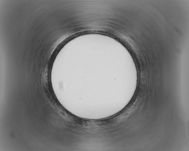 X0000111350875200908071131