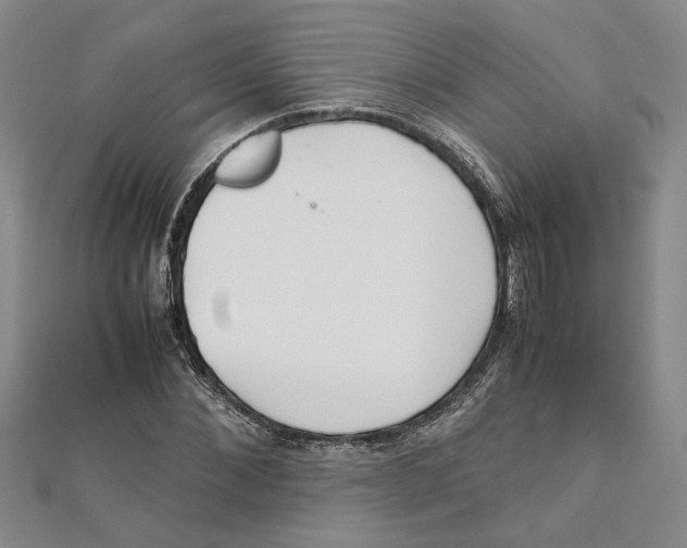 X0000111350876200908071131