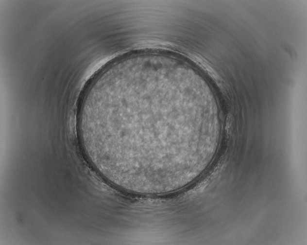X0000111350877200908071131