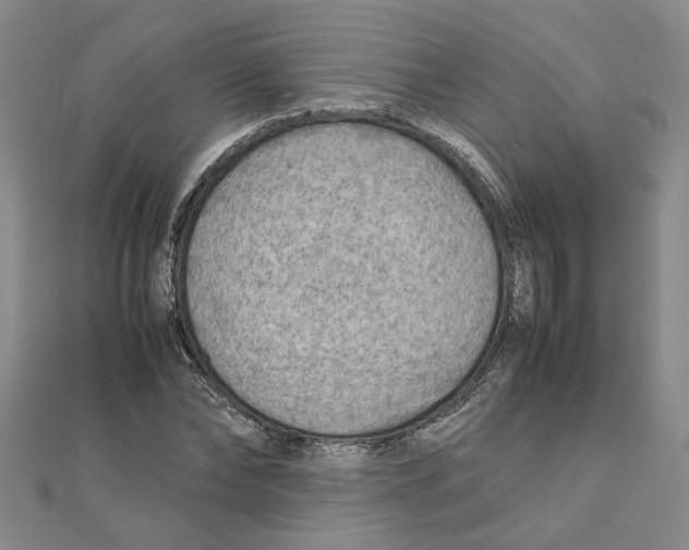 X0000111350878200908071131