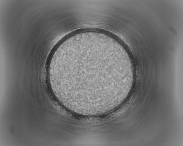 X0000111350879200908071131