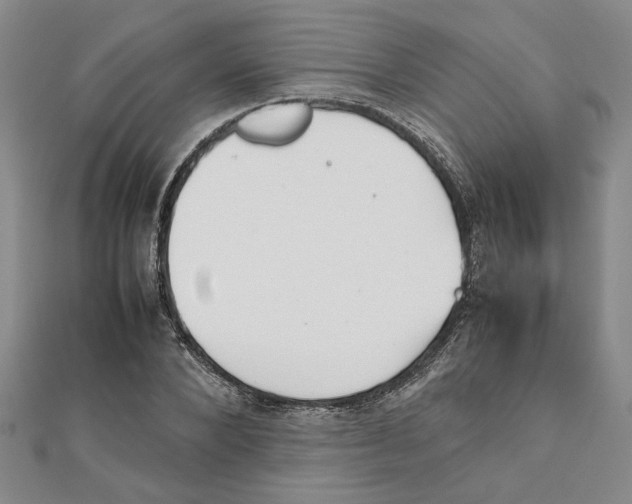 X0000111350880200908071131