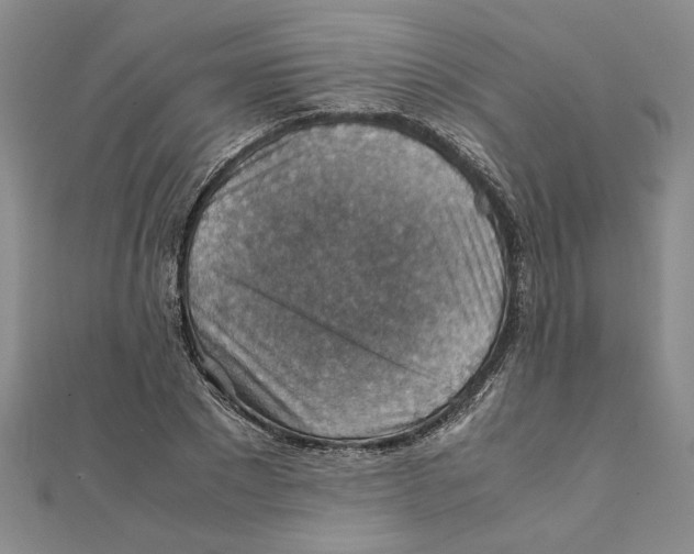 X0000111350881200908071131