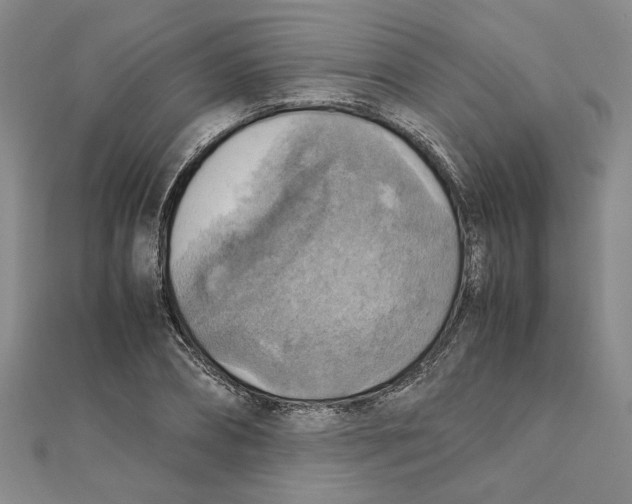 X0000111350882200908071131