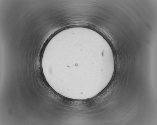 X0000111350883200908071131