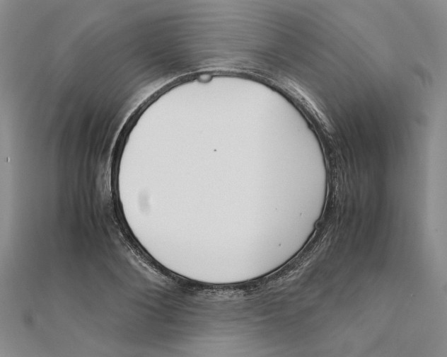X0000111350884200908071131
