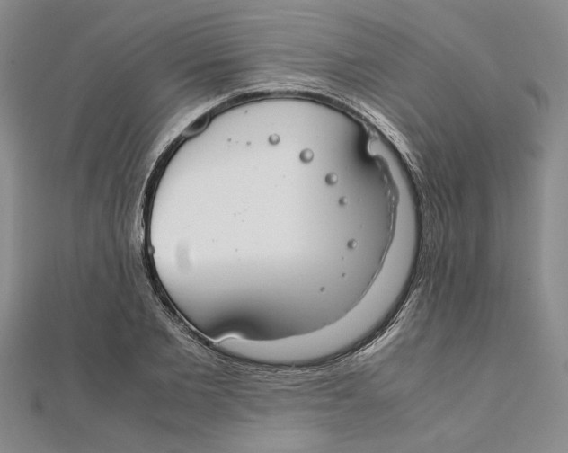 X0000111350885200908071131