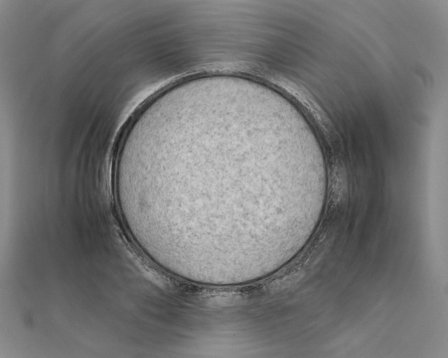 X0000111350886200908071131