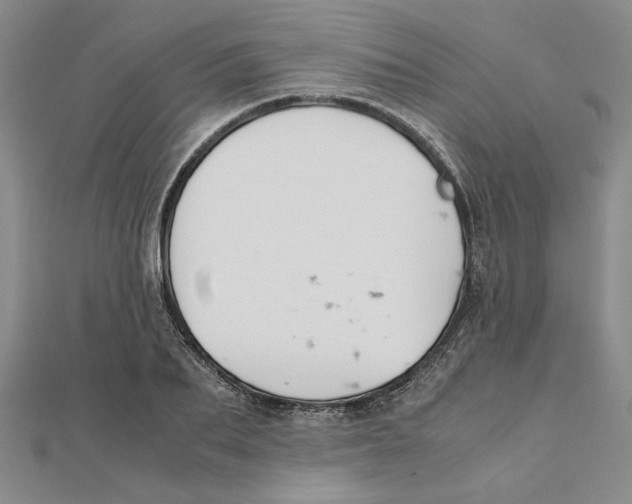 X0000111350887200908071131