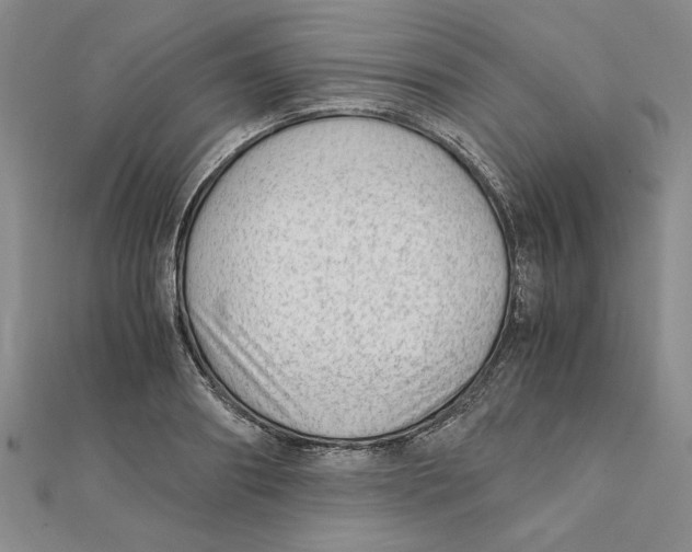 X0000111350890200908071130